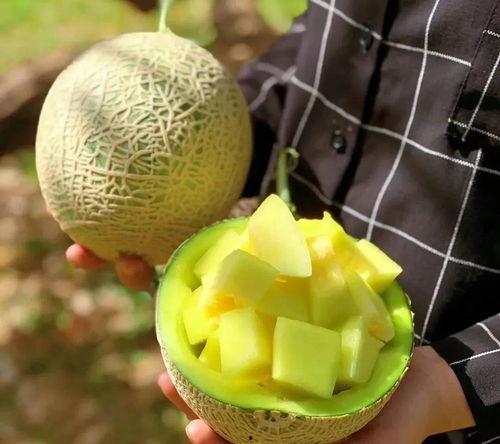 娱乐吃瓜壁纸,揭秘明星幕后故事,带你领略娱乐圈风云变幻